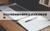 武汉公布新增确诊病例轨迹:武汉新增确证病例
