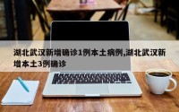 湖北武汉新增确诊1例本土病例,湖北武汉新增本土3例确诊
