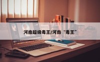 河南超级毒王/河南“毒王”