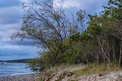 成都48小时内核酸混检免费