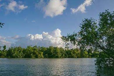 成都48小时内核酸混检免费