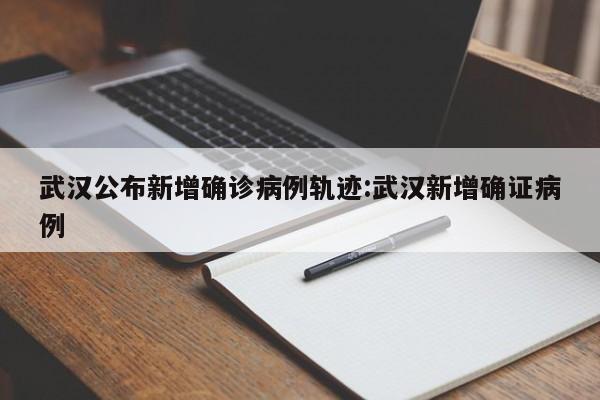 武汉公布新增确诊病例轨迹:武汉新增确证病例