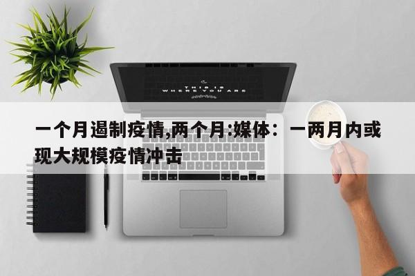 一个月遏制疫情,两个月:媒体:一两月内或现大规模疫情冲击